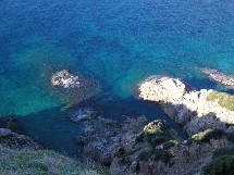 L'environnement au coeur de nos activités L'environnement au coeur de nos activités