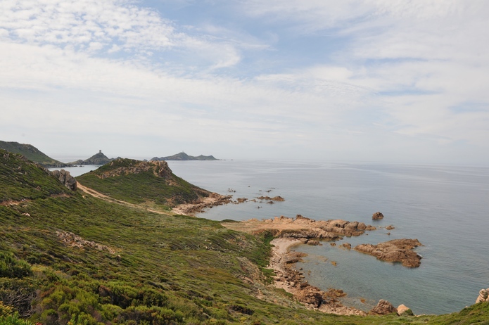 Les paysages du Trail Napoléon.